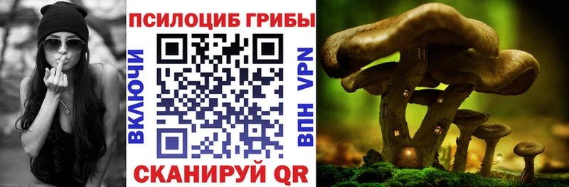 наркошоп  Иланский  Галлюциногенные грибы Cubensis 